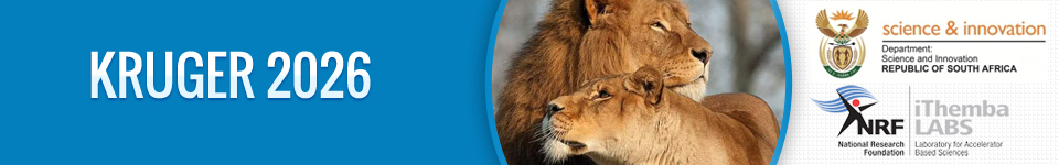 Kruger 2026: Discovery Physics at the LHC